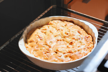 hot baked apple pie on oven rack, warm comforting food for family weekend. winter menu.
