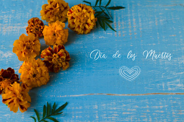 Day of the dead concept dia de los muertos.  Marigold, traditional flowers, to day of dead in...