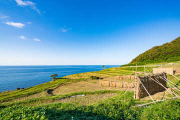 刈り入れの終わった能登半島の白米千枚田