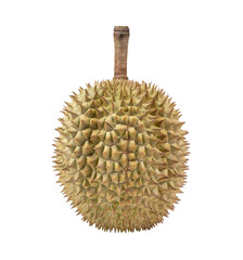 Durian isolated on transperent png