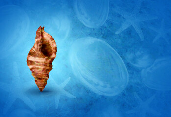 3d illustration. Sea ​​shell on abstract blue background. Holiday concept vision. 3d render.