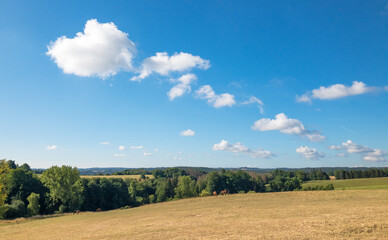 Obraz premium Idyllic landscape in the german countryside, pasture, forest and blue sky with white fluffy clouds