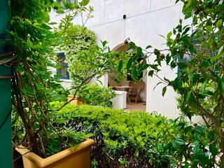 balcony with flowers