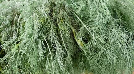 Close up of dill on sale at local farmers market.