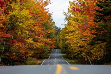 Fototapeta premium Empty road passing through colorful autumn trees at Baxter State Park, Maine United States