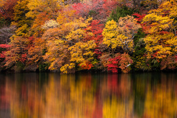 Autumn in Lake District.Colourful trees reflecting in calm water surface.Bright and vibrant...