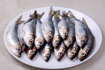 Several small silver fish, herrings with heads together on a white plate