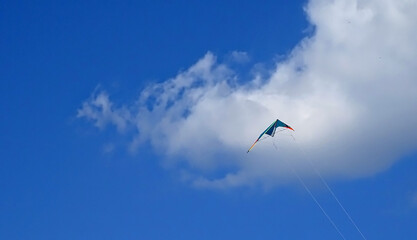 Kite on the sky background