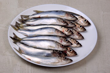 Several small silver fish, herrings with heads together on a white plate