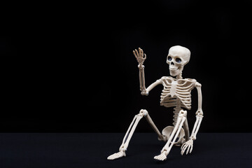 A fake human skeleton sitting on a black background and pointing with his hands at an empty space....