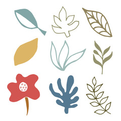 Simple vector collection of abstract plant elements in doodle style. Flowers and leaves. Creation of icons for social posts, profile design, banners, postcards, stickers