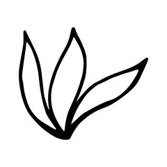 Vector abstract floral element in doodle style. Hand draw leaf illustration for your design. Single plant object, clipart, sublimation
