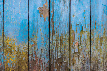 Naklejka premium Wooden surface texture with bullet holes Blue door detail wooden background full screen gloomy wooden fence background in dark colors background