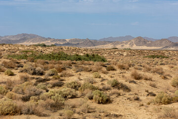 Fototapeta na wymiar The desert in Southern California near the town of 29 palms, close to the Joshua Tree National park, USA