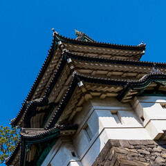 Fototapeta premium Tokyo Japan, city architecture, temples and cherry blossom.