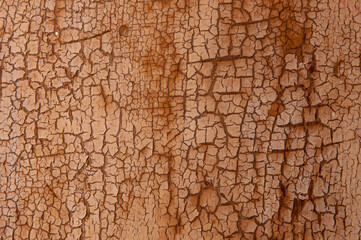 Naklejka premium Background from wooden old boards with cracked paint. Vintage green fence texture as abstract background. Craquelure cracks.