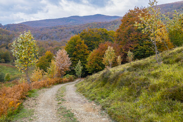 Obraz premium autumn in the mountains