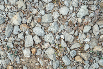 Background with stones scattered on the ground and small natural debris. Natural countryside background.