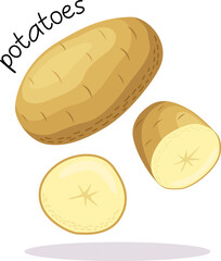 Vector illustration of a ripe potato with halves and slices vegetable and the inscription 