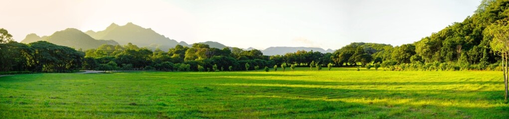 View of panoramic grass and forest