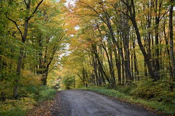 A country road in autumn, Sainte-Apolline, Québec, Canada