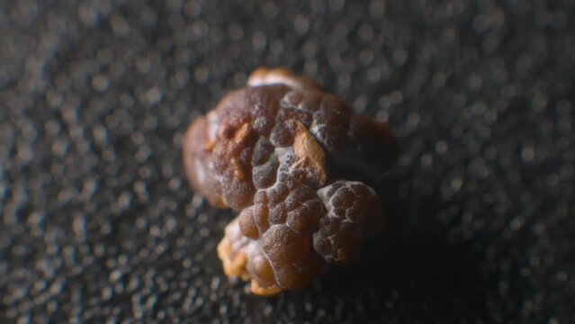 Close-up of a phosphate rock. Stone kidney disease. Selective focus motion extreme macro