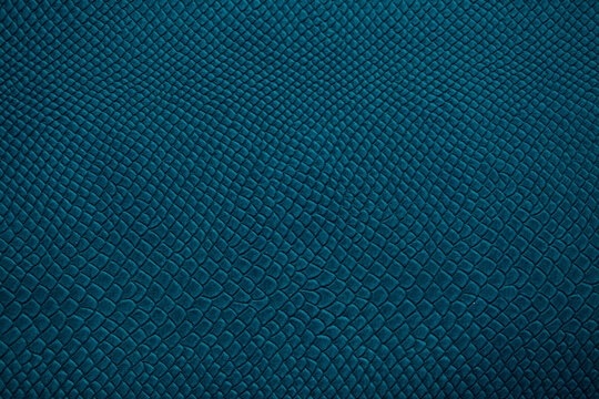 Beautiful bright eco-leather, animal skin texture in blue color, close-up as a background.