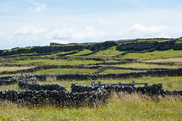 Fototapeta na wymiar stone fences on green landscape
