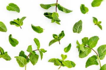 Herbs pattern with green mint leaves, top view