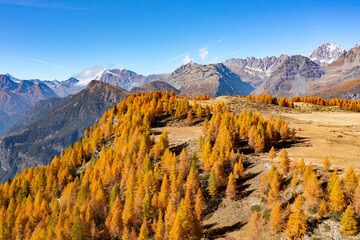 autumnal view of Valmalenco in the Acquanegra alpe area, Italy