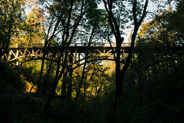 A lattice bridge connecting over a valley, with dappled light and trees. A bridge is near the Latourell Waterfall in Oregon. 