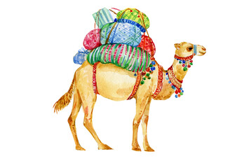 
camel watercolor illustration