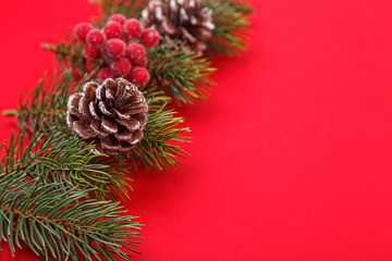 Christmas tree branches with cones on a red background