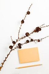 Mock up of a piece of vintage paper on an white table with a christmas fir branch with cones and pencil.