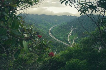 Naklejka premium Scenic view of Aiea Loop Trail with Camilla, Oahu, Hawaii near H3 freeway