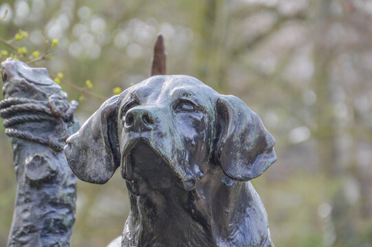 Dog Statue At Artis Zoo Amsterdam The Netherlands 2018