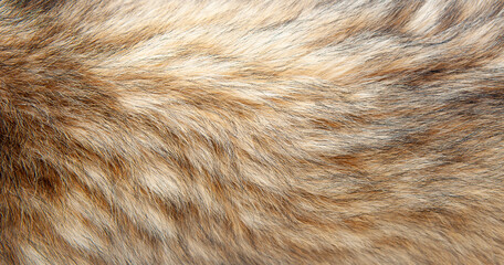 Beautiful spotted fur close-up. Texture of brown animal wool. Dog fur.
