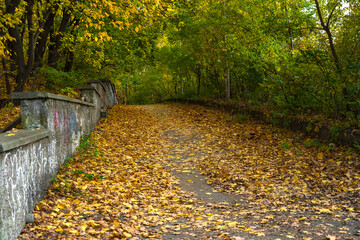 Fototapeta na wymiar Autumn path. Road through the park