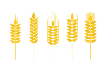 Collection of golden ripe spikelets of wheat. Agricultural symbol, flour production. Vector silhouette of wheat.