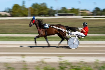 Fotobehang Racing horses trots and rider on a track of stadium. Competitions for trotting horse racing. Horses compete in harness racing on a sunny day. Horse runing at the track with rider.   © scatto