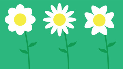 White daisy chamomile flower with stalk. Green background. Flat design vector illustration.