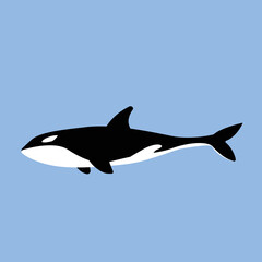 simple flat design of killer whale isolated on blue ocean background