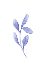 Twig with lilac leaves. Isolated on white background. Hand painted watercolor.