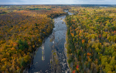 Minnesota Fall Leaves - Northwoods Fall - Minnesota State Park - Saint Louis River - Fall Drone View