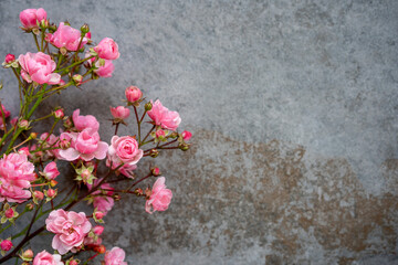 Pink small-flowered roses on gray stone background. Pastel floral pattern, background. Mother's day, Women's day, Valentine's day greeting card. Close-up, copy space, flat lay.