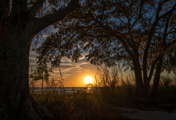 The Golden Hour in Louisiana