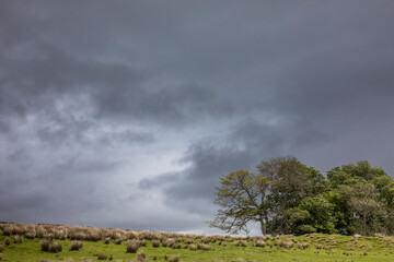 Impressionen der Schottischen Highlands