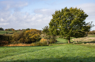 Fototapeta na wymiar Beautiful Autumn Country Landscape on a sunny day.