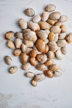 A pile of littleneck clams on display on white marble background
