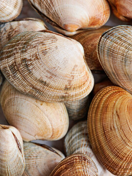 A pile of littleneck clams on display on white marble background